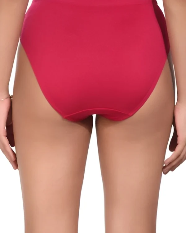 Everyday Lycra Panty For Women