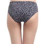 Womens Printed Cotton Panties Pack of 3