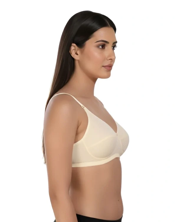 womens asian blue micro modal panty